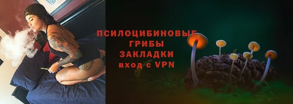 прущая мука Арсеньев